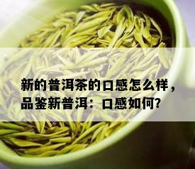 新的普洱茶的口感怎么样，品鉴新普洱：口感如何？