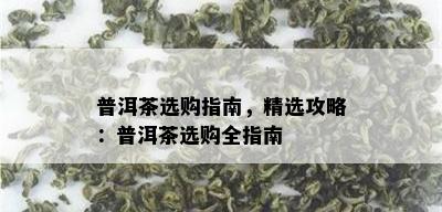 普洱茶选购指南，精选攻略：普洱茶选购全指南