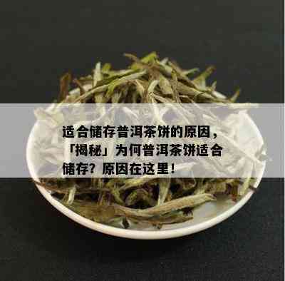 适合储存普洱茶饼的原因，「揭秘」为何普洱茶饼适合储存？原因在这里！