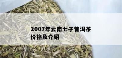 2007年云南七子普洱茶价格及介绍