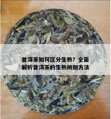 普洱茶如何区分生熟？全面解析普洱茶的生熟辨别方法