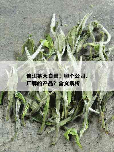 普洱茶大白菜：哪个公司、厂牌的产品？含义解析