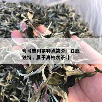 弯弓普洱茶特点简介：口感独特，属于高档次茶叶