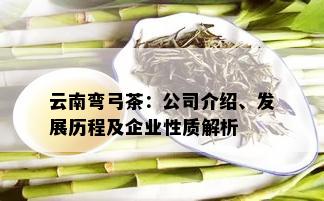 云南弯弓茶：公司介绍、发展历程及企业性质解析