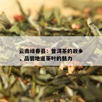 云南绿春县：普洱茶的故乡，品尝地道茶叶的魅力