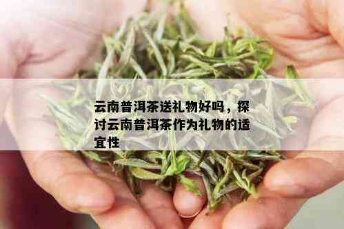 云南普洱茶送礼物好吗，探讨云南普洱茶作为礼物的适宜性