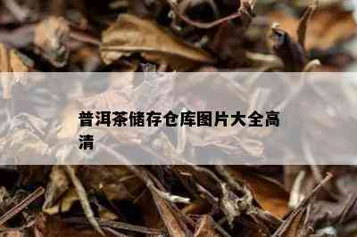 普洱茶储存仓库图片大全高清