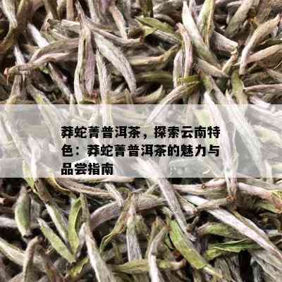 莽蛇菁普洱茶，探索云南特色：莽蛇菁普洱茶的魅力与品尝指南