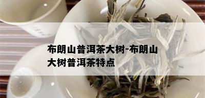 布朗山普洱茶大树-布朗山大树普洱茶特点