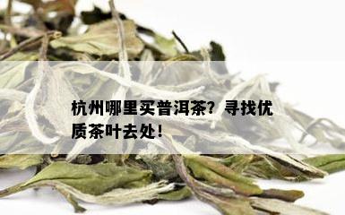 杭州哪里买普洱茶？寻找优质茶叶去处！