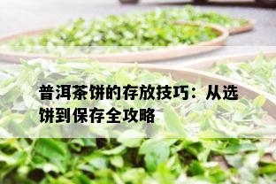 普洱茶饼的存放技巧：从选饼到保存全攻略