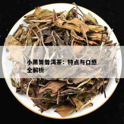 小黑箐普洱茶：特点与口感全解析