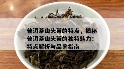 普洱茶山头茶的特点，揭秘普洱茶山头茶的独特魅力：特点解析与品鉴指南