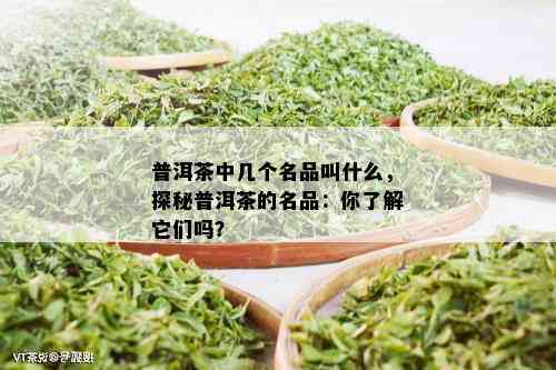 普洱茶中几个名品叫什么，探秘普洱茶的名品：你了解它们吗？