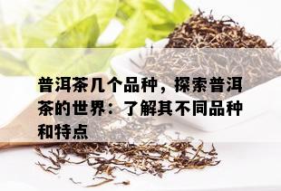 普洱茶几个品种，探索普洱茶的世界：了解其不同品种和特点