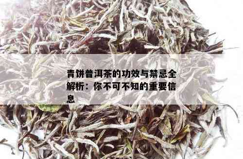 青饼普洱茶的功效与禁忌全解析：你不可不知的重要信息