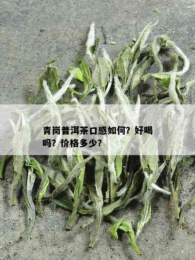 青岗普洱茶口感如何？好喝吗？价格多少？