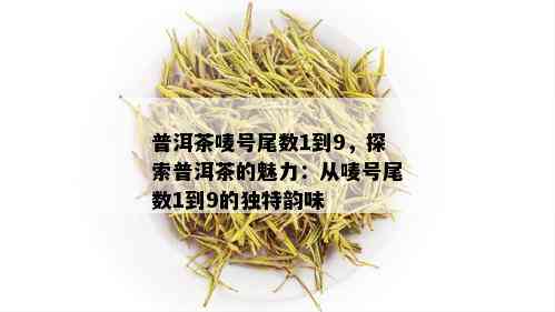 普洱茶唛号尾数1到9，探索普洱茶的魅力：从唛号尾数1到9的独特韵味