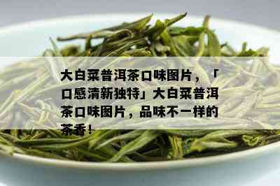 大白菜普洱茶口味图片，「口感清新独特」大白菜普洱茶口味图片，品味不一样的茶香！