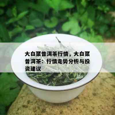 大白菜普洱茶行情，大白菜普洱茶：行情走势分析与投资建议