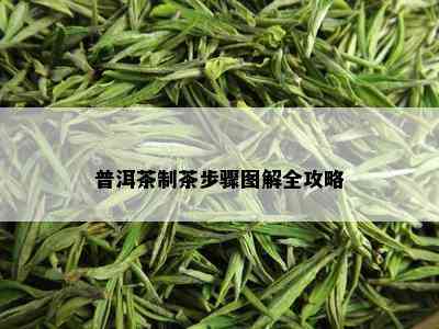 普洱茶制茶步骤图解全攻略