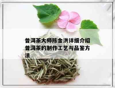 普洱茶大师陈金洪详细介绍普洱茶的制作工艺与品鉴方法