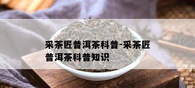 采茶匠普洱茶科普-采茶匠普洱茶科普知识