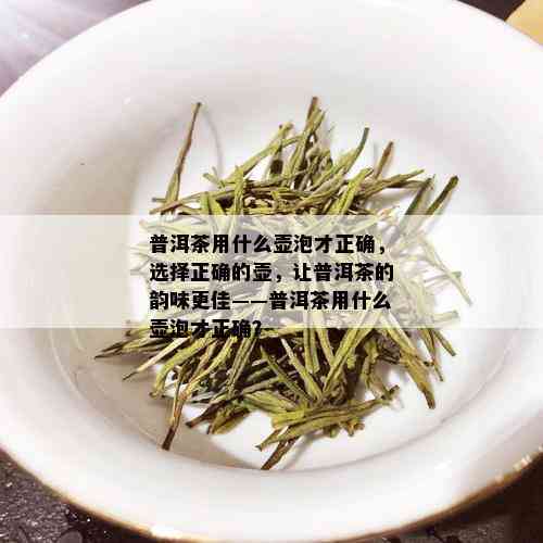 普洱茶用什么壶泡才正确，选择正确的壶，让普洱茶的韵味更佳——普洱茶用什么壶泡才正确？