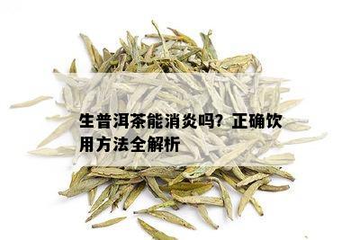 生普洱茶能消炎吗？正确饮用方法全解析