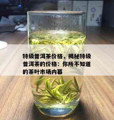 特级普洱茶价格，揭秘特级普洱茶的价格：你所不知道的茶叶市场内幕