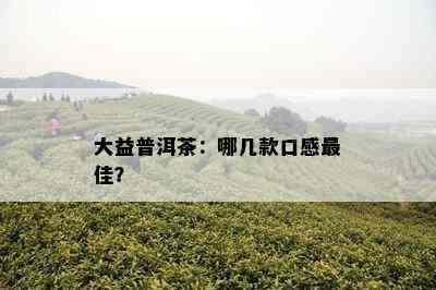 大益普洱茶：哪几款口感更佳？