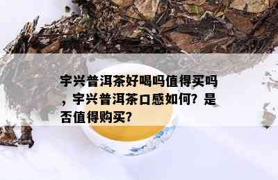 宇兴普洱茶好喝吗值得买吗，宇兴普洱茶口感如何？是否值得购买？