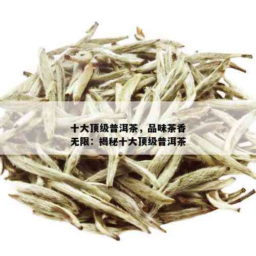 十大顶级普洱茶，品味茶香无限：揭秘十大顶级普洱茶