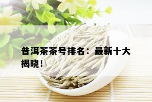 普洱茶茶号排名：最新十大揭晓！