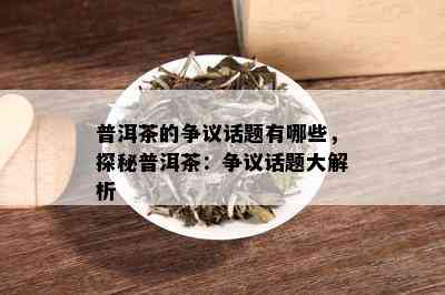 普洱茶的争议话题有哪些，探秘普洱茶：争议话题大解析