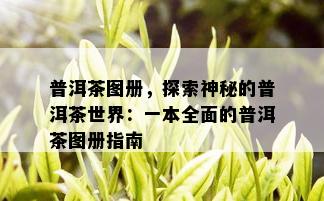 普洱茶图册，探索神秘的普洱茶世界：一本全面的普洱茶图册指南