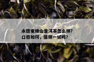 永德蜜蜂山普洱茶怎么样？口感如何，值得一试吗？