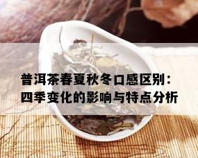 普洱茶春夏秋冬口感区别：四季变化的影响与特点分析