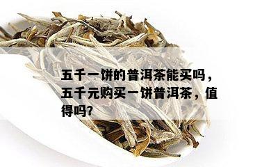 五千一饼的普洱茶能买吗，五千元购买一饼普洱茶，值得吗？