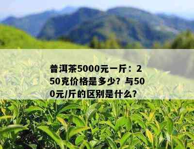 普洱茶5000元一斤：250克价格是多少？与500元/斤的区别是什么？