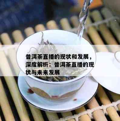 普洱茶直播的现状和发展，深度解析：普洱茶直播的现状与未来发展