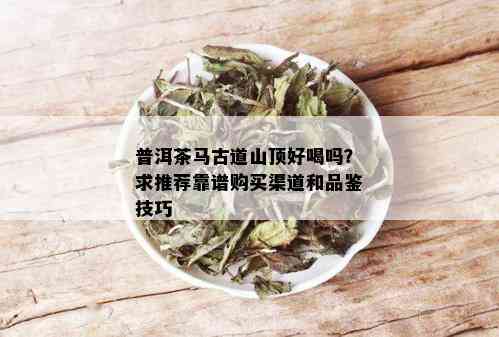 普洱茶马古道山顶好喝吗？求推荐靠谱购买渠道和品鉴技巧