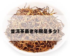 普洱茶最老年限是多少？