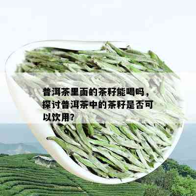 普洱茶里面的茶籽能喝吗，探讨普洱茶中的茶籽是否可以饮用？