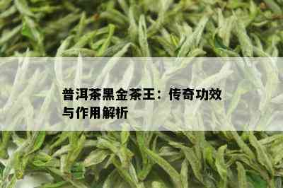 普洱茶黑金茶王：传奇功效与作用解析