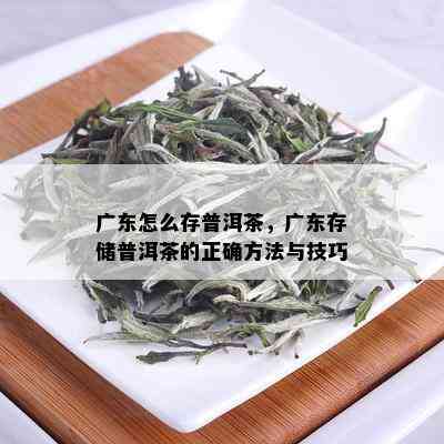 广东怎么存普洱茶，广东存储普洱茶的正确方法与技巧