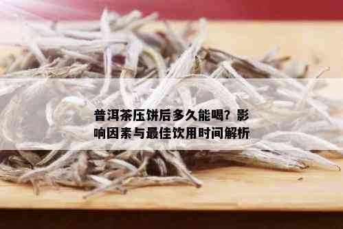 普洱茶压饼后多久能喝？影响因素与更佳饮用时间解析