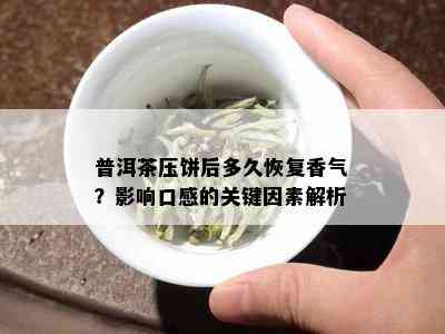 普洱茶压饼后多久恢复香气？影响口感的关键因素解析