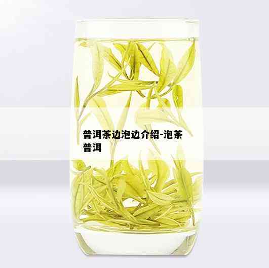 普洱茶边泡边介绍-泡茶 普洱