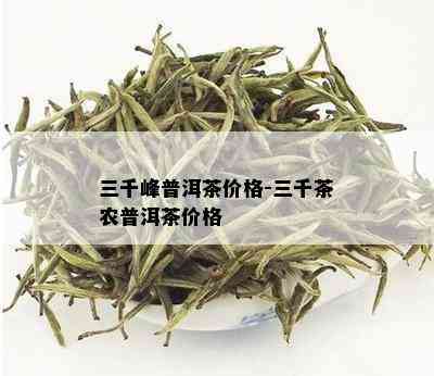 三千峰普洱茶价格-三千茶农普洱茶价格